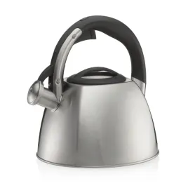 czajnik-stal-nierdzewna-18-10-sred-22-x-215-cm-24-l-metaliczny-matow