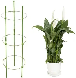podpora-pierscieniowa-roslin-60-cm-zielona