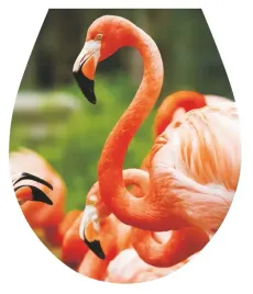 naklejka-3d-na-deske-sedesowa-klozetowa-flamingi-ptaki-trojwymiarowa-do-wc