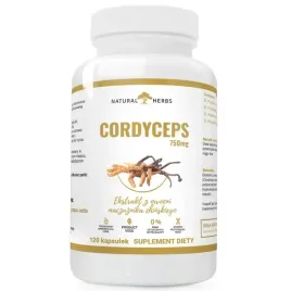 cordyceps-750mg-odpornosc-maczuznik-120-kaps