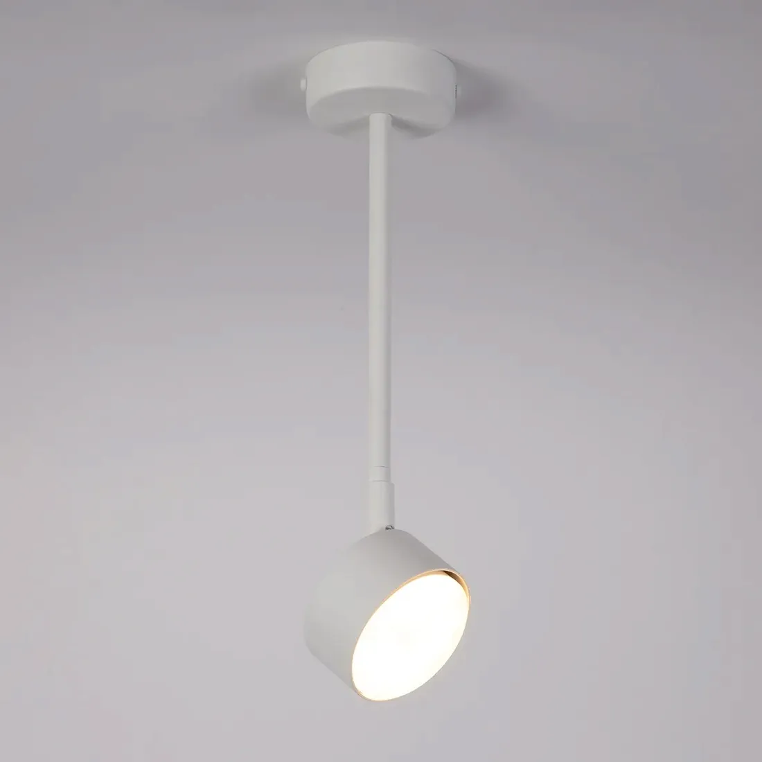 sigma-40980-nemo-1-l-plafon-bialy