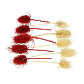 suszony-oset-bielony-i-czerwony-glowki-kwiaty-10-szt