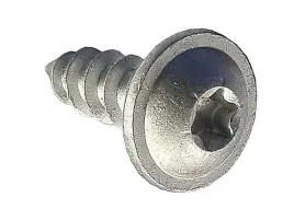 10x-bmw-mini-wkret-51x16-torx-soczewkowy-glosnika-rejestracji-listwy-szyby