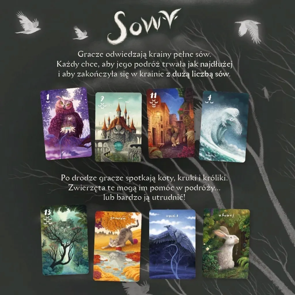 gra-sowy-nasza-ksiegarnia-stan-nowy