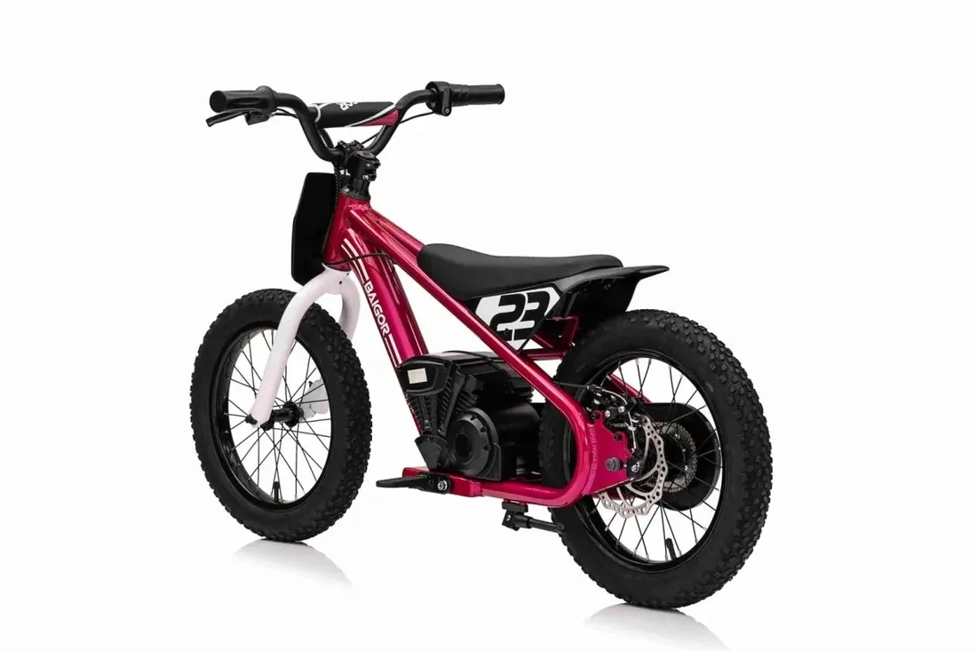 motor-baigor-23-pro-rozowy