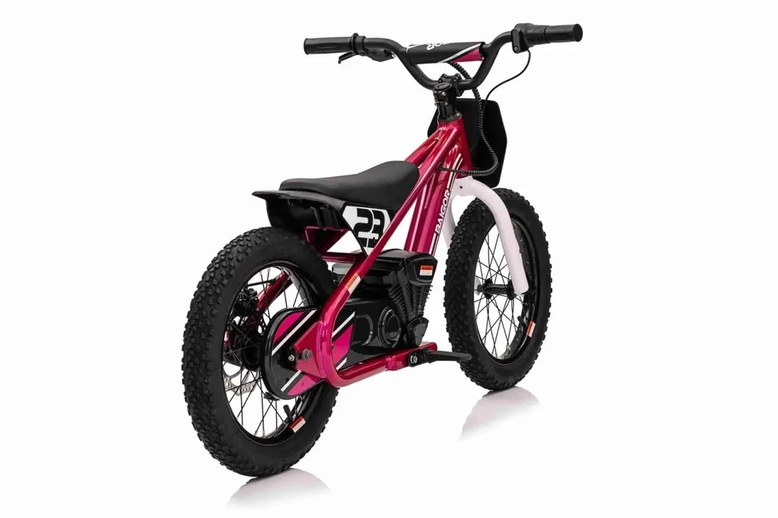 motor-baigor-23-pro-rozowy