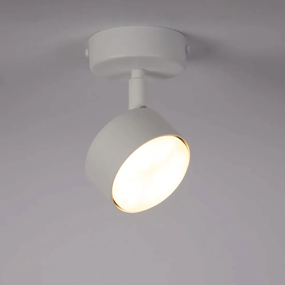 sigma-40978-nemo-1-s-plafon-bialy