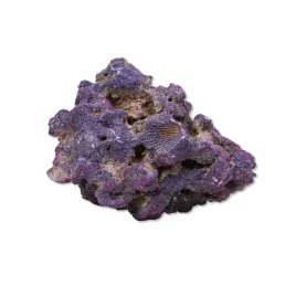 caribsea-liferock-original-907-kg-naturalna-skala-ozywiona-do-akwarium-mor