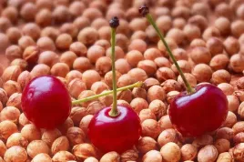 pestki-wisni-naturalny-wklad-do-termoforow-2-kg-pl