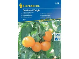 pomidor-koktajlowy-pomaranczowy-nasiona-kiepenkerl-odmiana-goldene-konigin