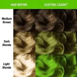 toner-classic-manic-panic-panic-classic-electric-lizard-118-ml-produkt-nie-zawiera-alkoholu-aluminium-amoniaku-barwnikow-mydla-olejow-mineralnych-parabenow-parafiny-peg-siarczanow-silikonow-skladnikow-pochodzenia-zwierzecego-sles-sls-substancji-zapachowych