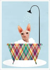 plakat-bez-ramy-do-lazienki-wc-toalety-kot-sfinks-w-wannie-p2577-a4