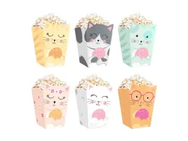 pudelka-na-popcorn-kotki-6-szt