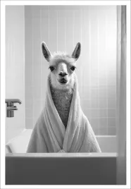 plakat-bez-ramy-do-lazienki-wc-toalety-smieszny-lama-wanna-p2526-30x40