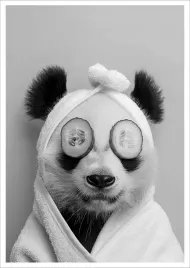 plakat-bez-ramy-do-lazienki-wc-toalety-smieszny-mis-panda-p2524-30x40