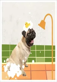 plakat-bez-ramy-do-lazienki-wc-toalety-kaczuszka-pies-buldog-p2579-30x40