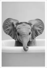 plakat-bez-ramy-do-lazienki-wc-toalety-smieszny-slon-wanna-p2523-30x40