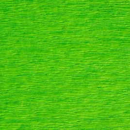 bibula-tymos-jasnozielona-200-50cm