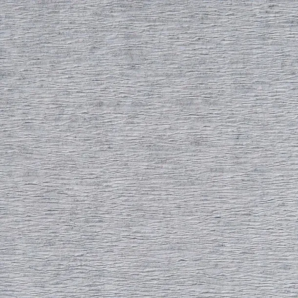 bibula-tymos-srebrna-200-50-cm