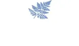 felce-azzurra-talk-do-ciala-classico-200g-marka-felce-azzurra
