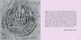 neurocity-miasto-slepcow