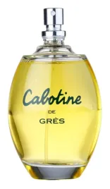 gres-cabotine-de-gres-edt-100-ml-tester