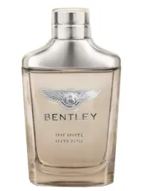 bentley-infinite-edt-100-ml-tester