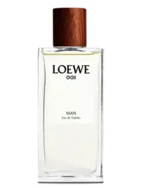 loewe-001-man-edt-100-ml-tester