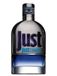 roberto-cavalli-just-cavalli-him-edt-90-ml-tester
