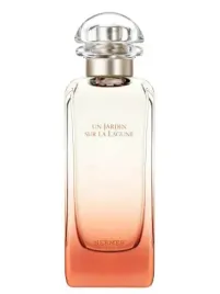 hermes-un-jardin-sur-le-lagune-edt-100-ml-tester