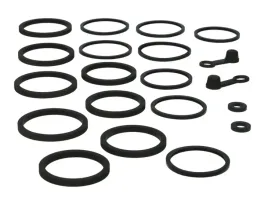 naprawczy-zacisku-przod-kawasaki-zzr-600-05-06r