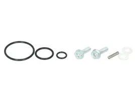 zestaw-naprawczy-kranika-suzuki-ls650-savage-96-00