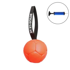 z30031-zestaw-pilka-s02688-pompka-99890