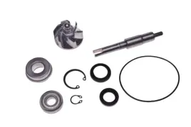 pompa-cieczy-honda-sh-chiocciola-125-150