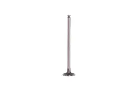 zawor-wydechowy-benelli-300-500-600-ccm-bn-302-eu4-trk-502-leoncino-500