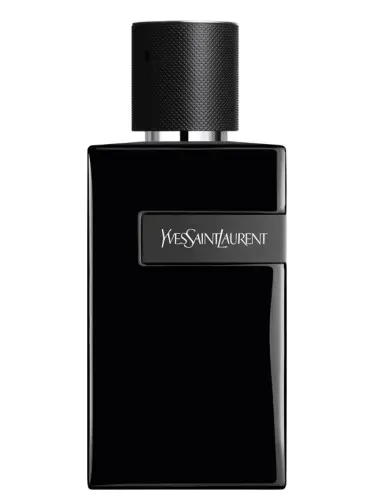 YSL Yves Saint Laurent Y Le Parfum  100ml Perfum