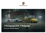 porsche-cayman-stan-nowy