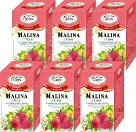 x6-malwa-herbata-owocowa-malina-z-lipa-20tbx2g