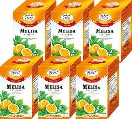 x6-malwa-sunny-herbata-melisa-z-cytryna-20tbx2g