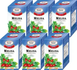 x6-malwa-sunny-herbata-melisa-z-dzika-roza-20tbx2g