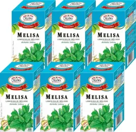 x6-malwa-herbata-ziolowa-melisa-20tbx2g