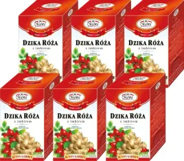x6-malwa-sunny-herbata-dzika-roza-z-imbirem-20tbx2g
