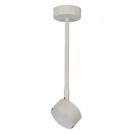 regulowana-lampa-nasufitowa-nemo-40888-do-przedpokoju-szara
