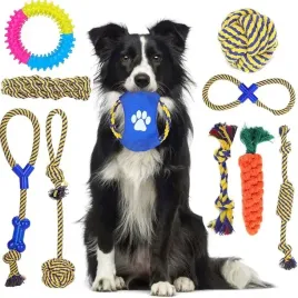 zabawkowa-smycz-dla-psa-nobleza-10pcs-trwaly-sznurek-do-zucia