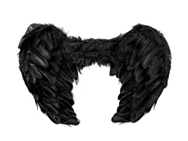 skrzydla-aniola-czarne-60-x-45-cm