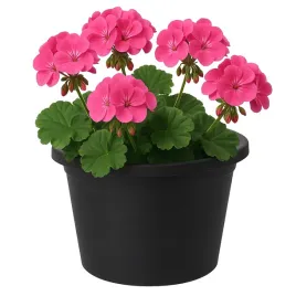 doniczka-tworzywo-sztuczne-czarny-koopman-34-cm-x-34-x-24-cm