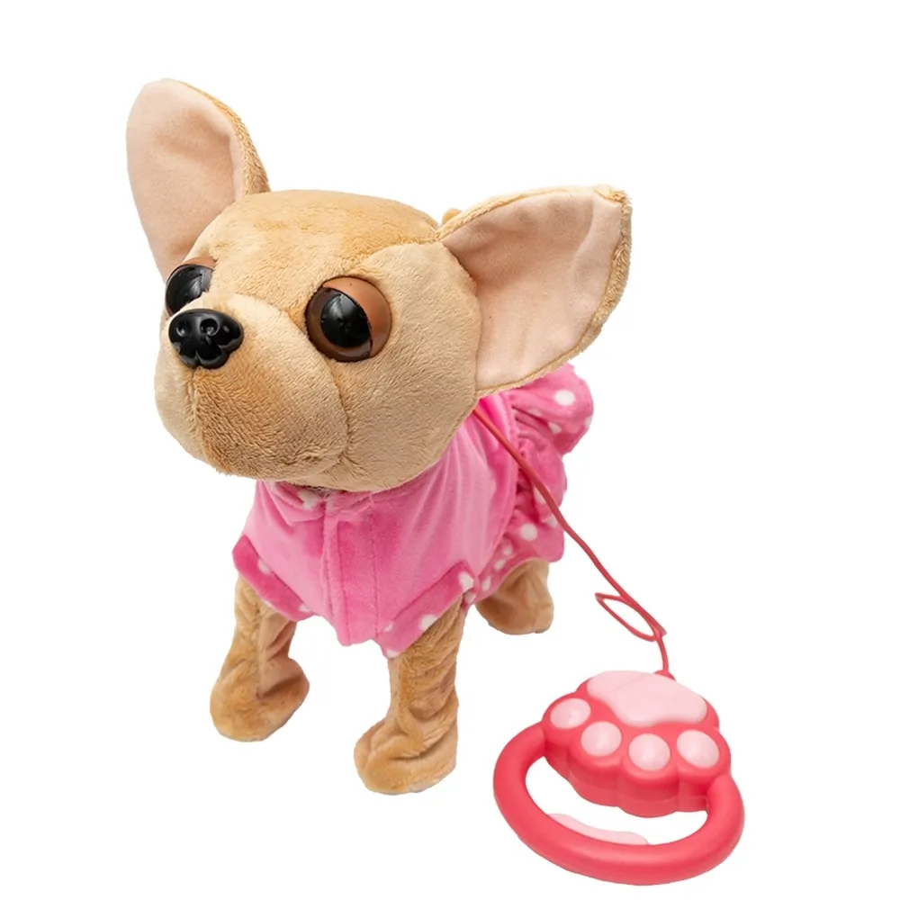 piesek-chihuahua-8450