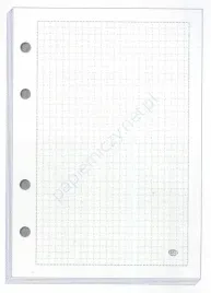 wklad-do-segreg-a4-100-krata-6935-a-5