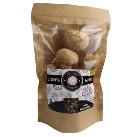 lions-mane-soplowka-jezowata-100g-suszona-cala
