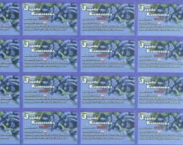 etykiety-samoprzylepne-nadruk-50x45-17ark-400szt